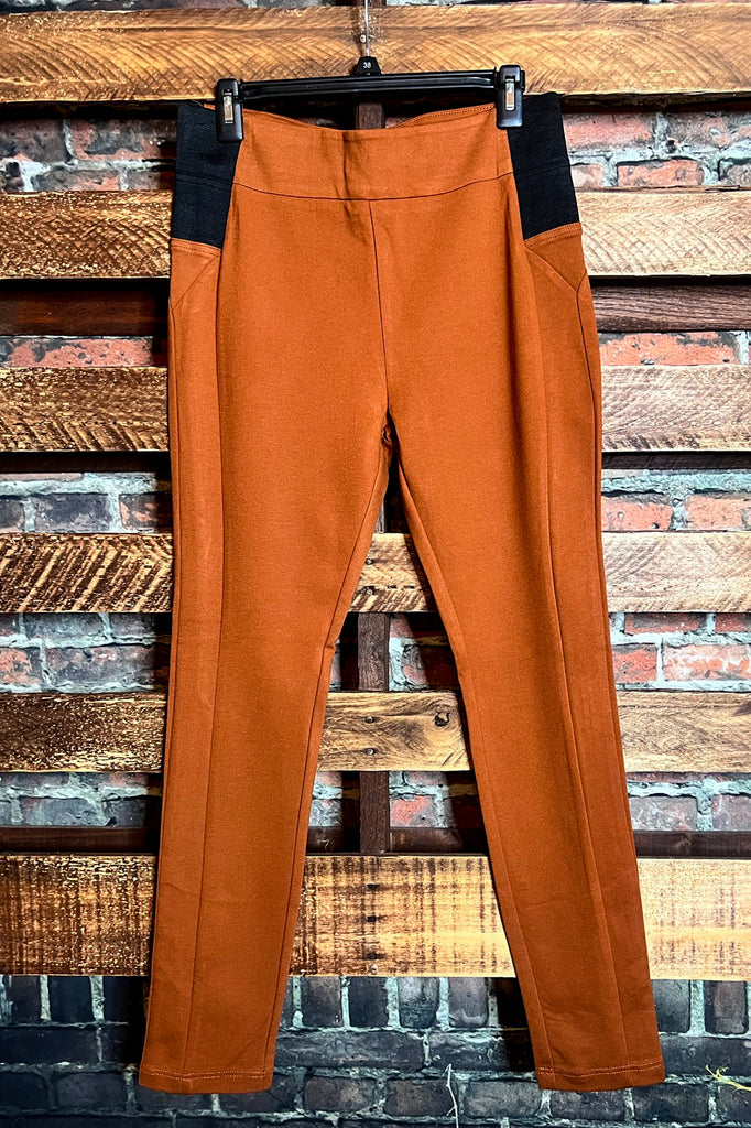 PLUS SIZE SKINNY PANTS IN RUST --------SALE