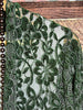 POEM OF LOVE OLIVE VELVET LACE JACKET CARDIGAN