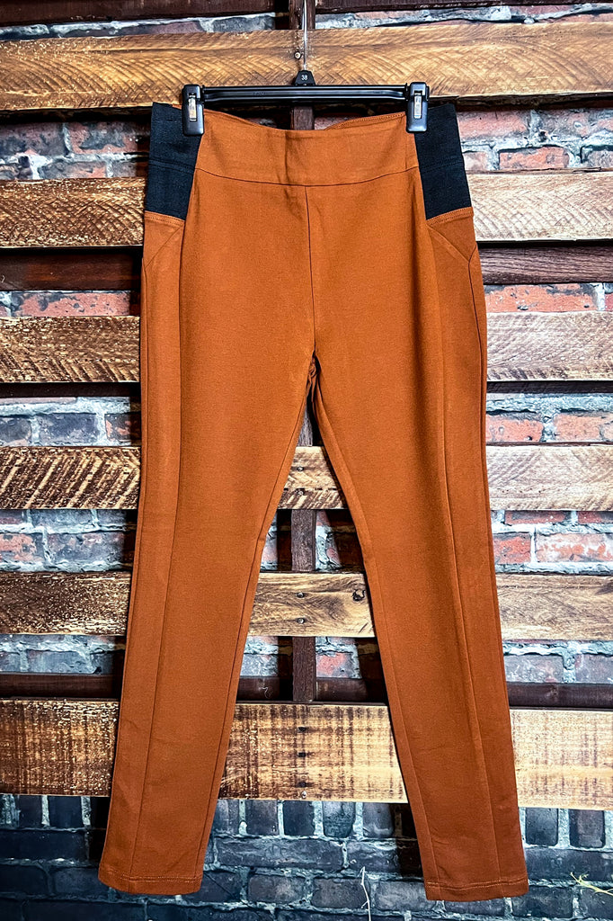 PLUS SIZE SKINNY PANTS IN RUST