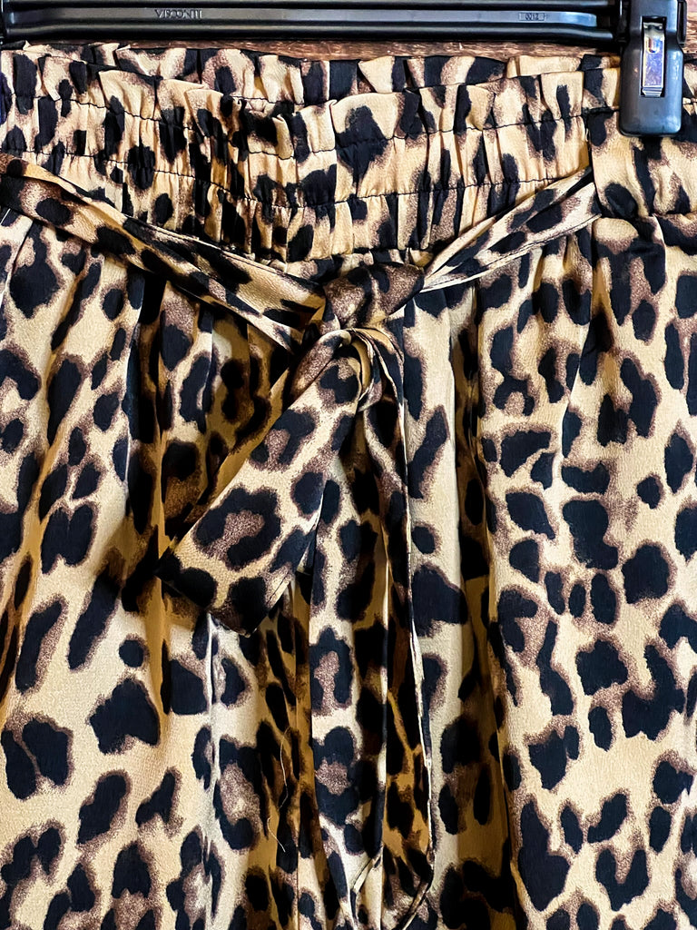 SATIN LEOPARD PRINT 1X 2X 3X SHORTS